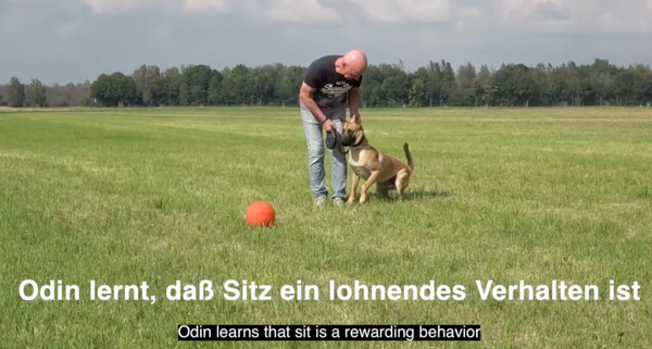 wir nennen es Schlüsselverhalten - Odin lernt die Schlüssel zu nutzen