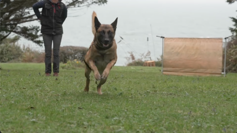 Training mit Boss im Urlaub - Bretagne