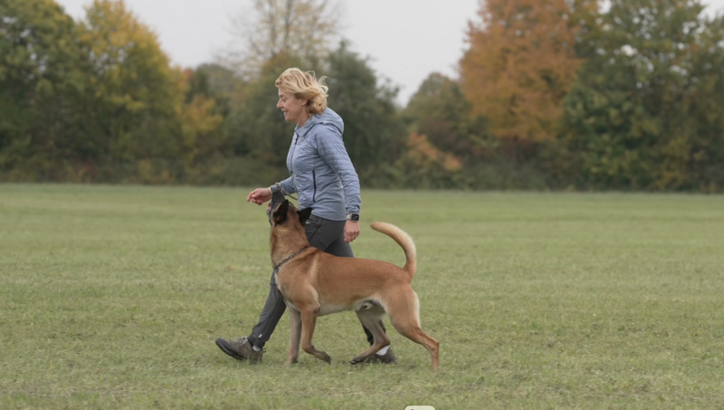 Connie & Boss beim Herbsttraining 🍁