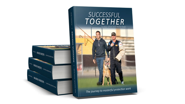 Successful Together- The Journey To Masterful Protection Work