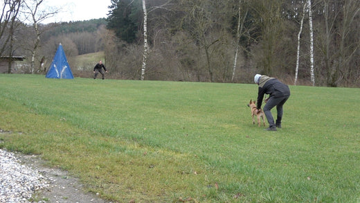 Odin – unser  kleiner Held! 🐾