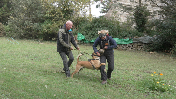 auf die Wechsel kommt es an!