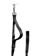 CPScherk Trainings-Leine 3 m