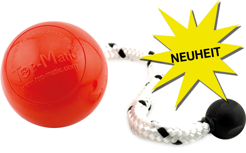 TOP-MATIC Fun-Ball Flex