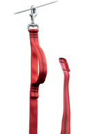 CPScherk Trainings-Leine 3 m