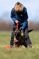 CPScherk Trainings-Leine 3 m