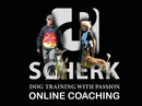 1:1 online coaching