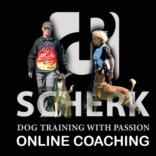 Dog Behavior Dog Whisperer Online Dog Training Not To Bark Train