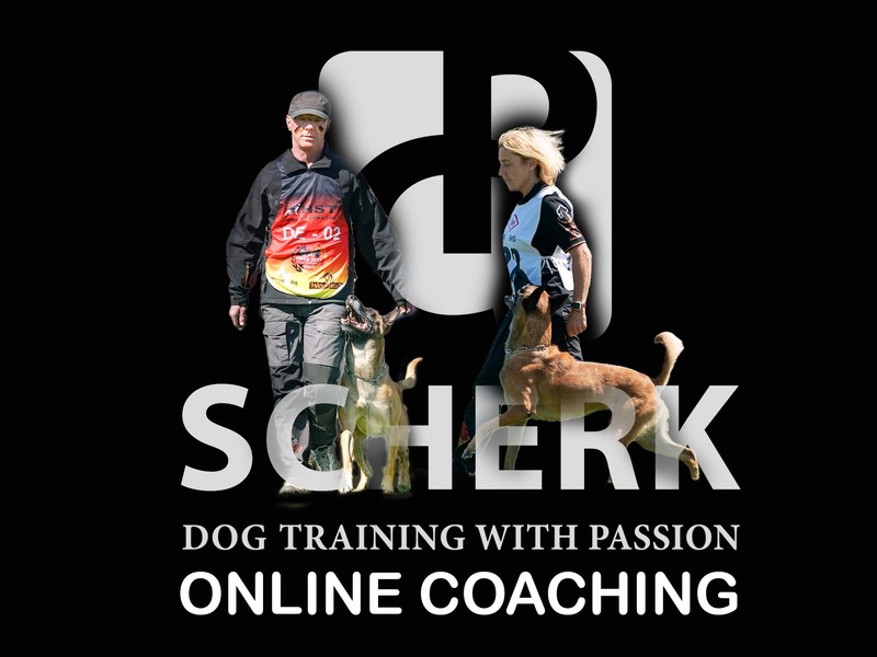 1:1 online coaching